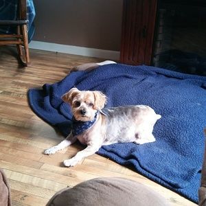 Meet your Posher, Mindy